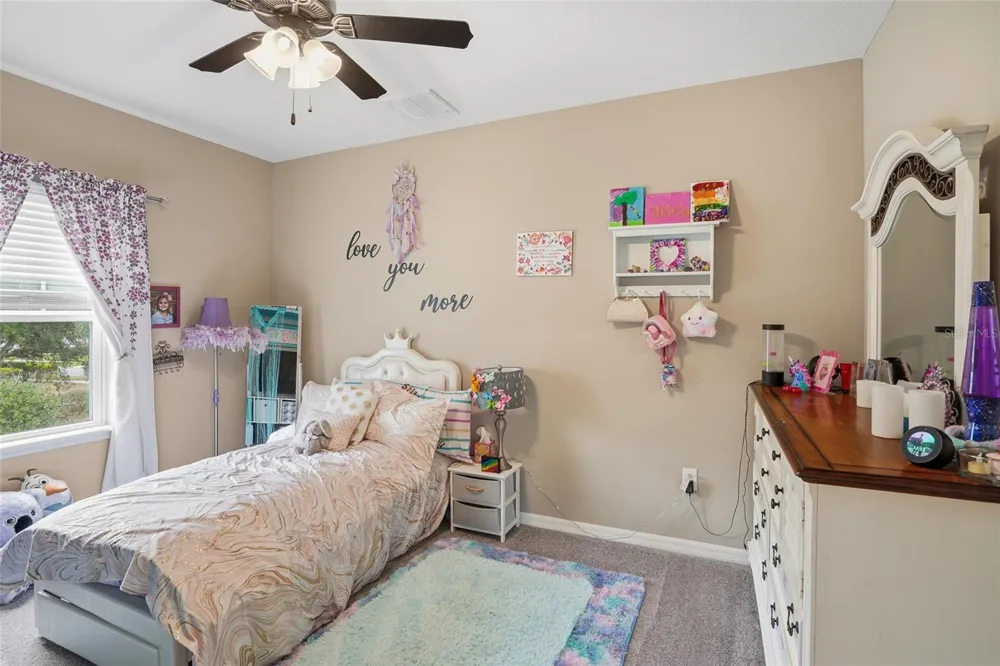 33564 WILLOW POINT CT Wesley Chapel, FL 33545