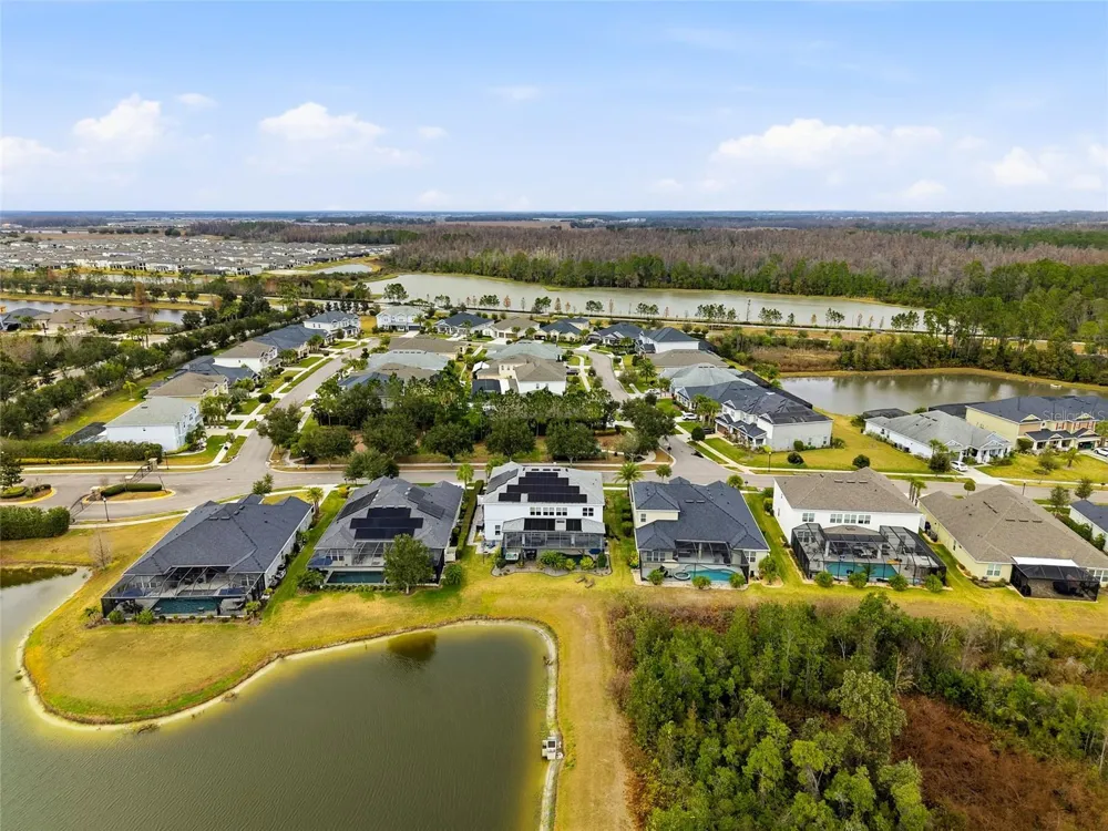 33564 WILLOW POINT CT Wesley Chapel, FL 33545
