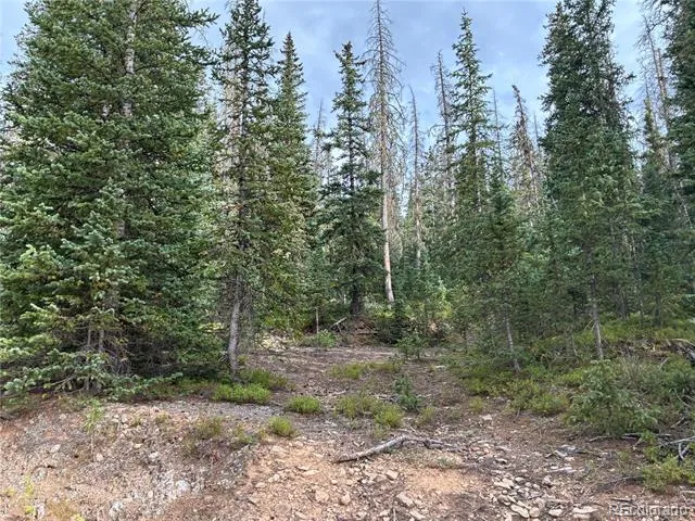 LOT 6524 Forbes Road San Luis, CO 81152