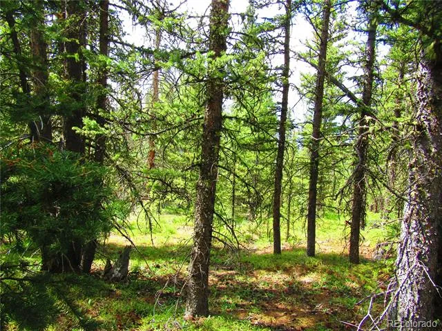 LOT 6524 Forbes Road San Luis, CO 81152