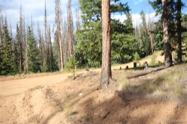 LOT 6524 Forbes Road San Luis, CO 81152