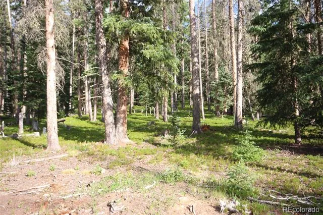 LOT 6524 Forbes Road San Luis, CO 81152