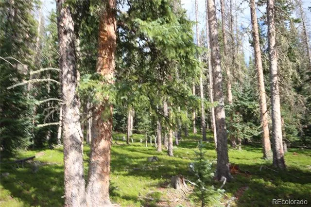 LOT 6524 Forbes Road San Luis, CO 81152