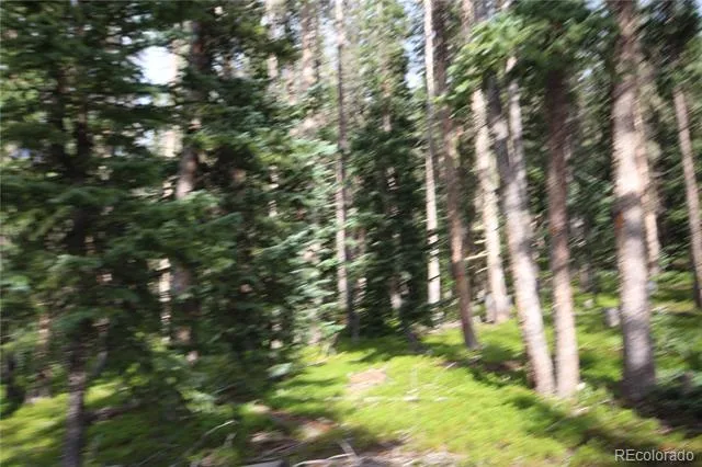 LOT 6524 Forbes Road San Luis, CO 81152