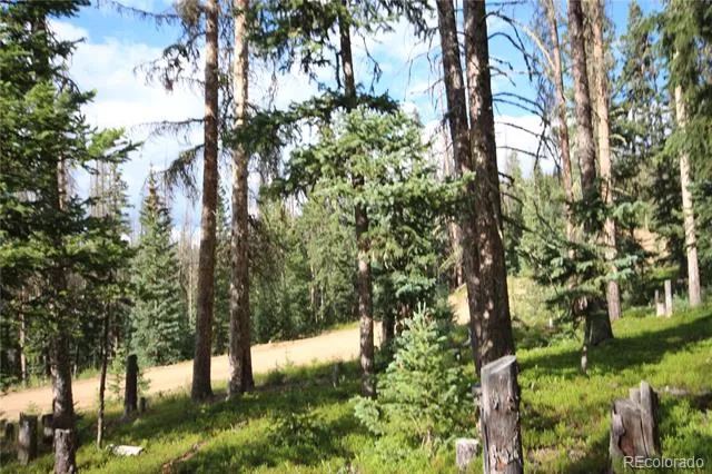 LOT 6524 Forbes Road San Luis, CO 81152