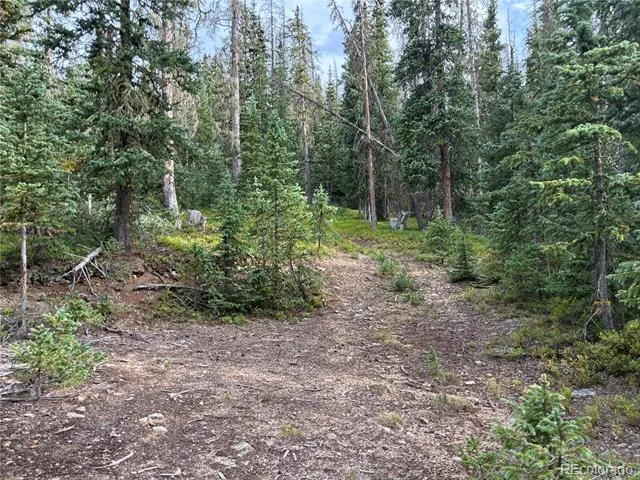 LOT 6524 Forbes Road San Luis, CO 81152