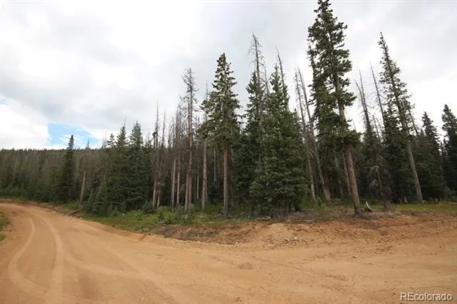 LOT 6524 Forbes Road San Luis, CO 81152