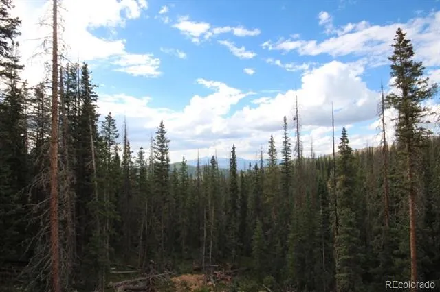 LOT 6524 Forbes Road San Luis, CO 81152