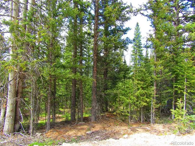 LOT 6524 Forbes Road San Luis, CO 81152