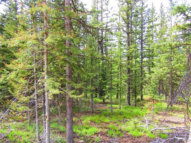 LOT 6524 Forbes Road San Luis, CO 81152