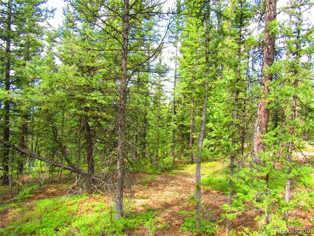 LOT 6524 Forbes Road San Luis, CO 81152