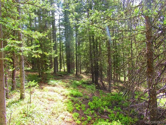 LOT 6524 Forbes Road San Luis, CO 81152