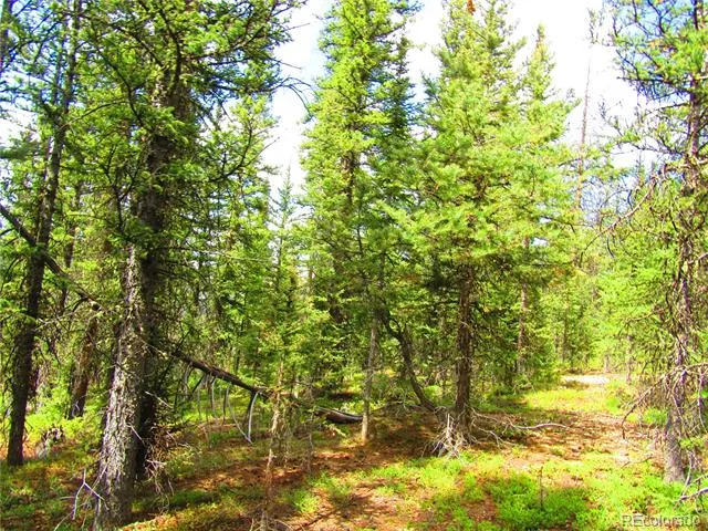 LOT 6524 Forbes Road San Luis, CO 81152