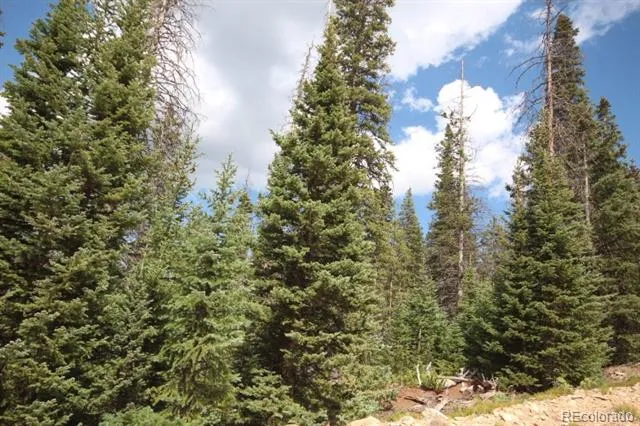 LOT 6524 Forbes Road San Luis, CO 81152