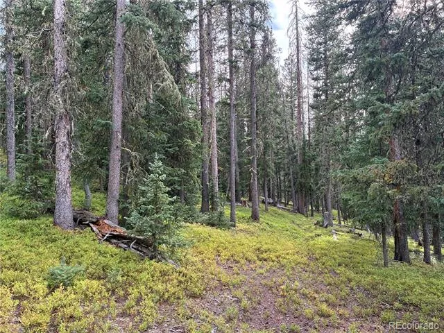 LOT 6524 Forbes Road San Luis, CO 81152