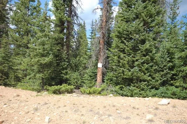 LOT 6524 Forbes Road San Luis, CO 81152