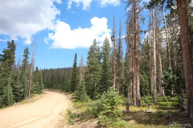 LOT 6524 Forbes Road San Luis, CO 81152