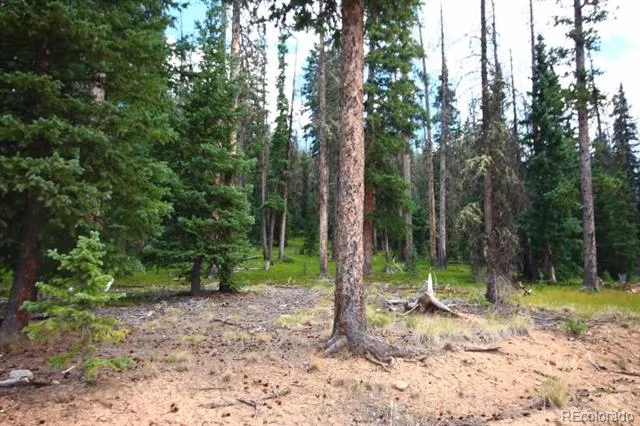 LOT 6524 Forbes Road San Luis, CO 81152