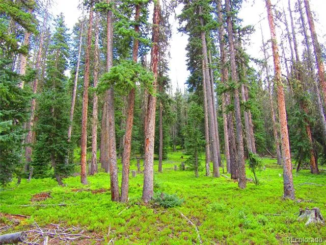 LOT 6524 Forbes Road San Luis, CO 81152