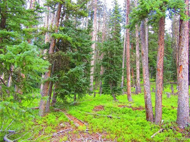 LOT 6524 Forbes Road San Luis, CO 81152