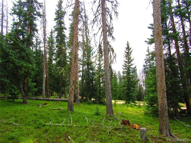 LOT 6524 Forbes Road San Luis, CO 81152