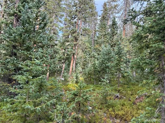 LOT 6524 Forbes Road San Luis, CO 81152