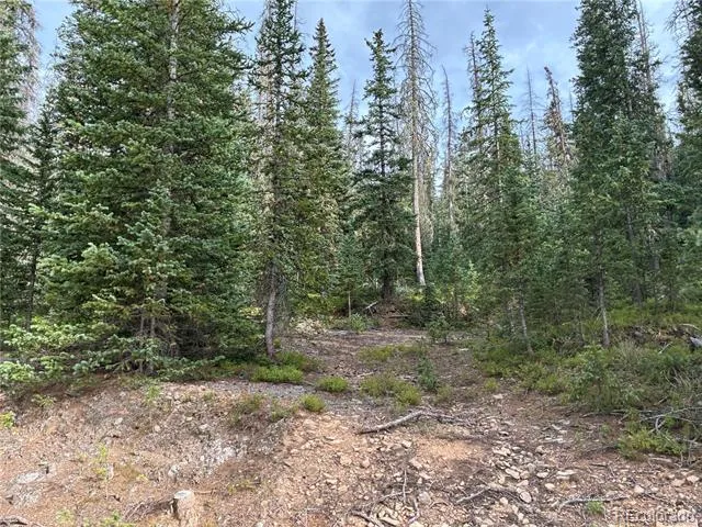 LOT 6524 Forbes Road San Luis, CO 81152