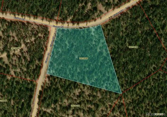 LOT 6524 Forbes Road San Luis, CO 81152