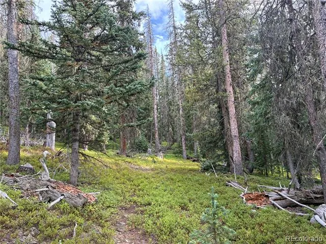 LOT 6524 Forbes Road San Luis, CO 81152