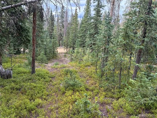 LOT 6524 Forbes Road San Luis, CO 81152