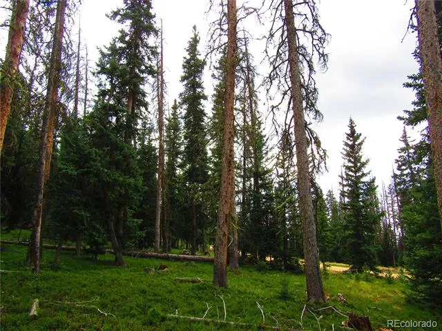 LOT 6524 Forbes Road San Luis, CO 81152