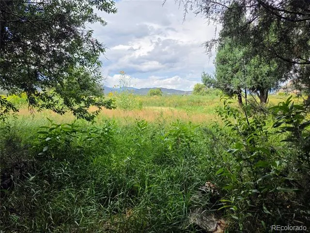 000 County Road 6 Coaldale, CO 81222