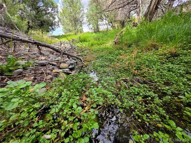 000 County Road 6 Coaldale, CO 81222