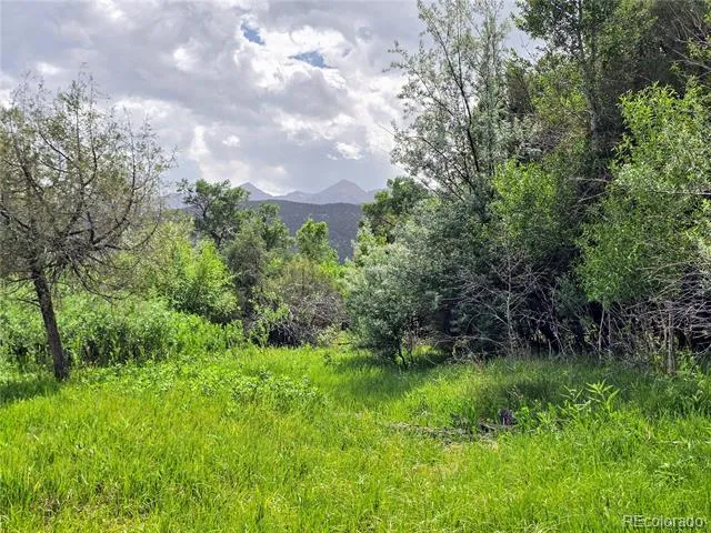000 County Road 6 Coaldale, CO 81222