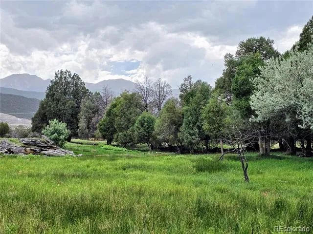000 County Road 6 Coaldale, CO 81222