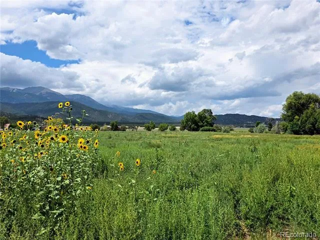 000 County Road 6 Coaldale, CO 81222