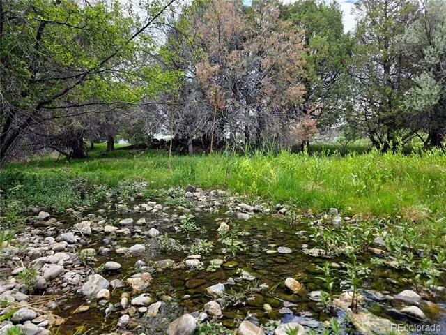 000 County Road 6 Coaldale, CO 81222
