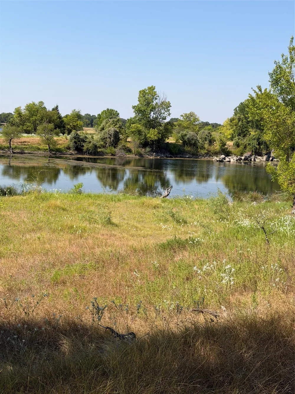 31948 Fm 429 Terrell, TX 75161