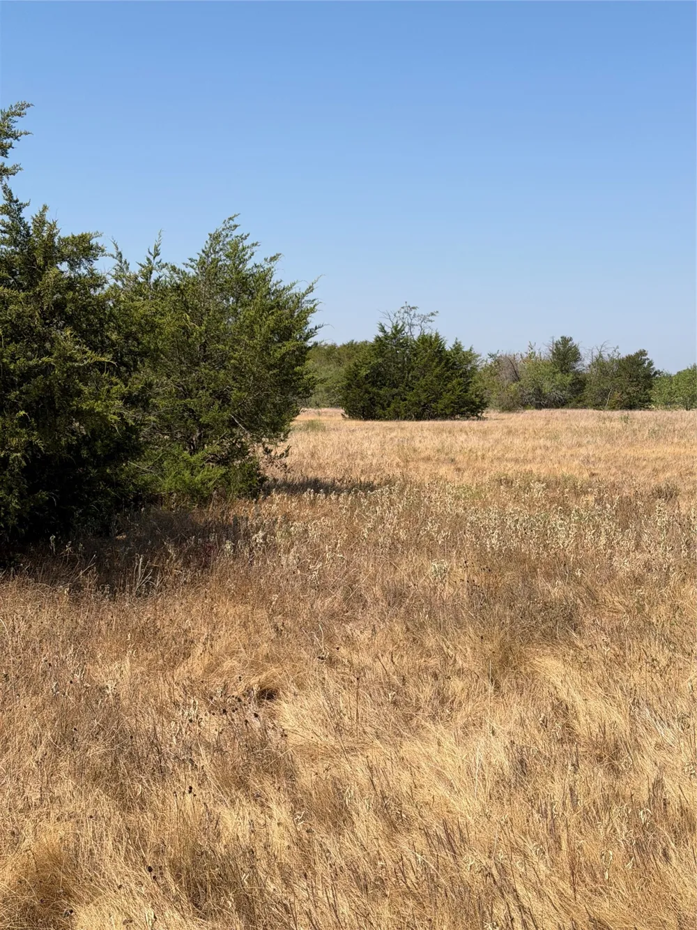 31948 Fm 429 Terrell, TX 75161