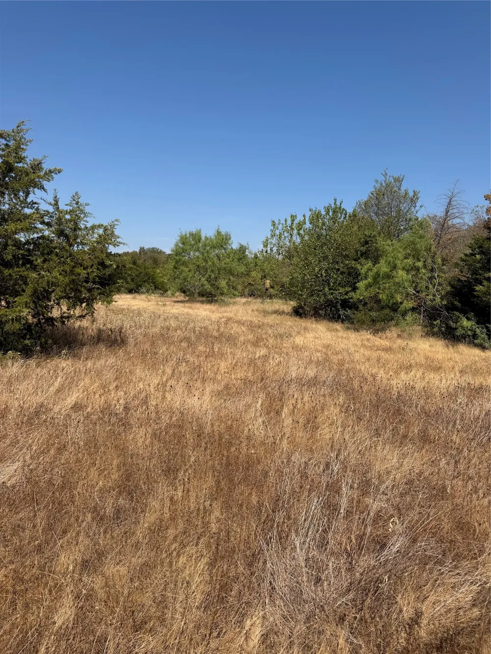 31948 Fm 429 Terrell, TX 75161