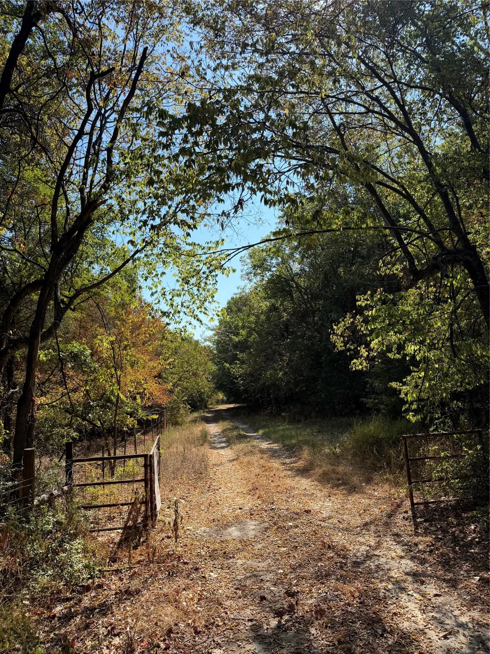 31948 Fm 429 Terrell, TX 75161