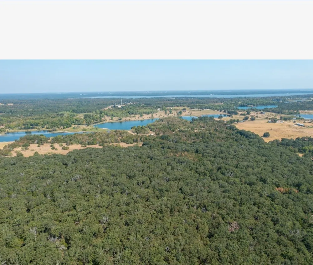 31948 Fm 429 Terrell, TX 75161