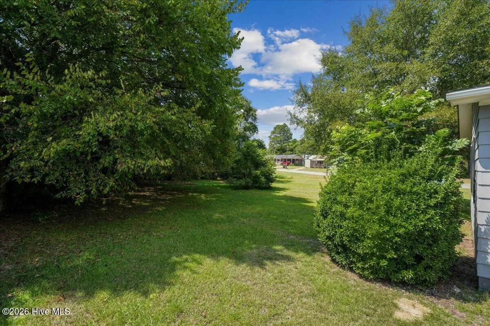 204 E Branch Street Benson, NC 27504