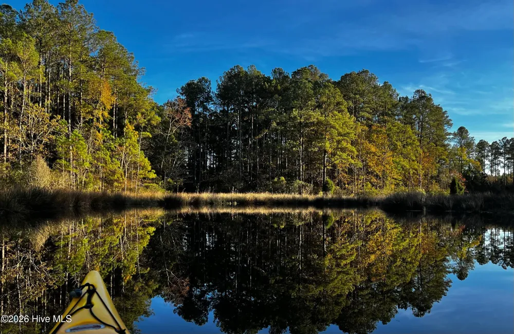 931 Schrams Beach Road Belhaven, NC 27810