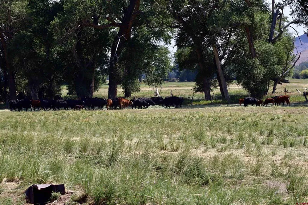 Co Rd 14 A Del Norte, CO 81132