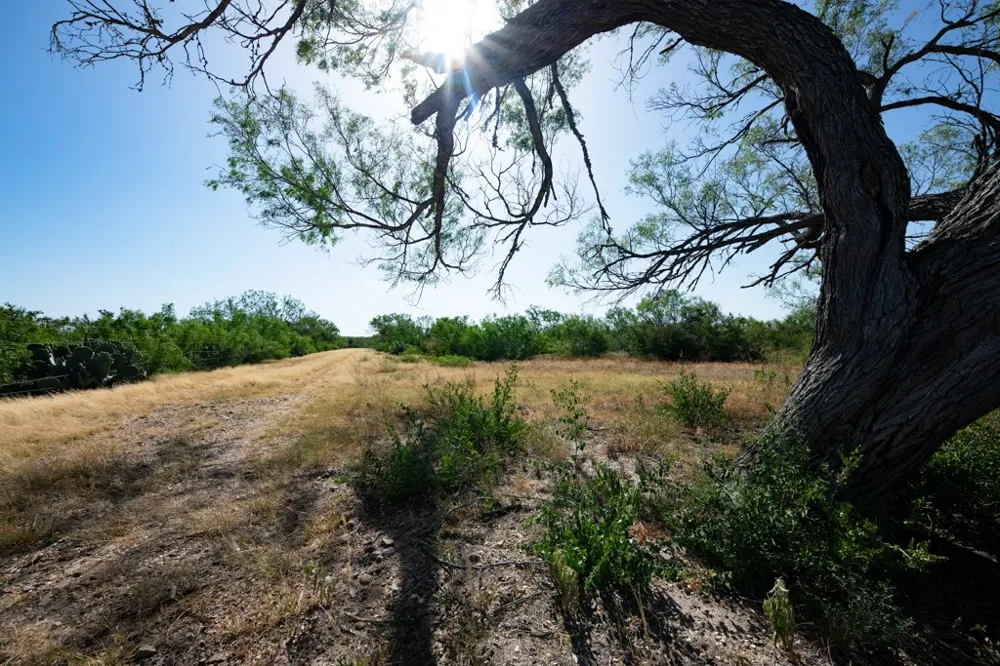 242 Cinco Millas Road Tilden, TX 78072
