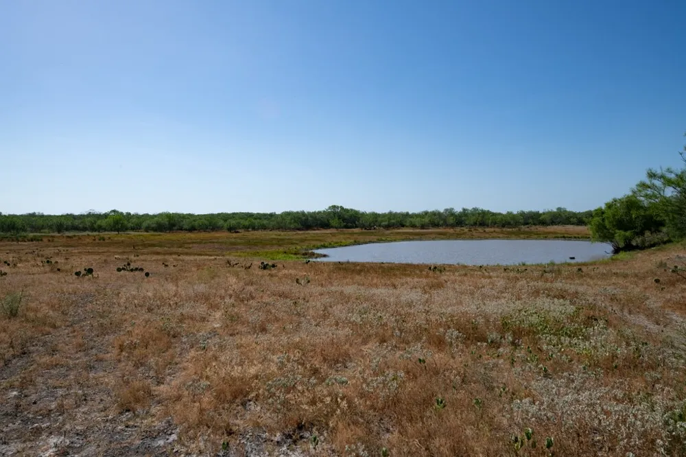 242 Cinco Millas Road Tilden, TX 78072