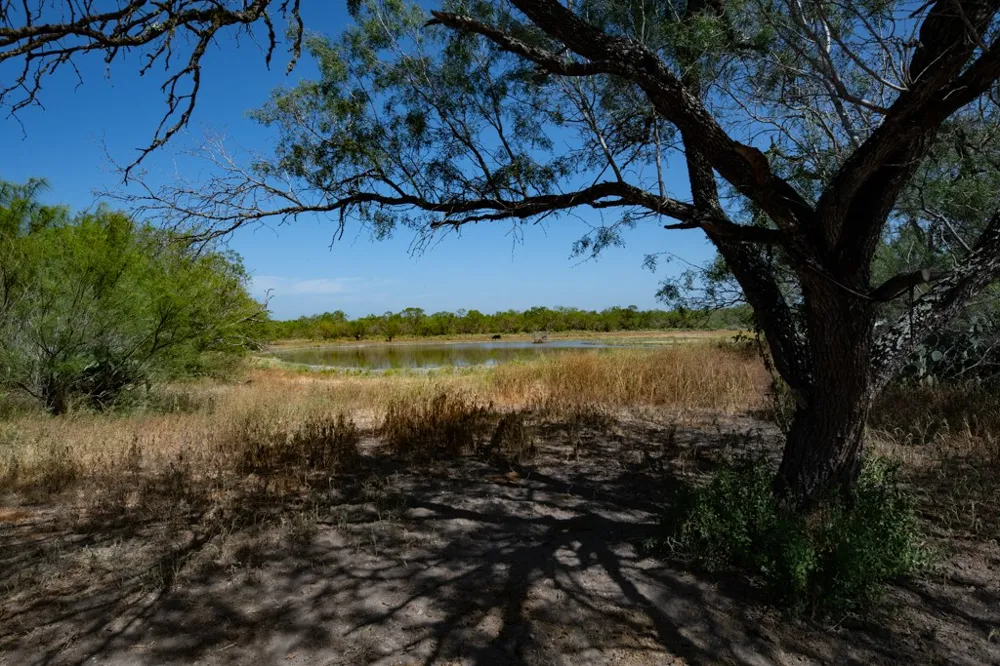 242 Cinco Millas Road Tilden, TX 78072