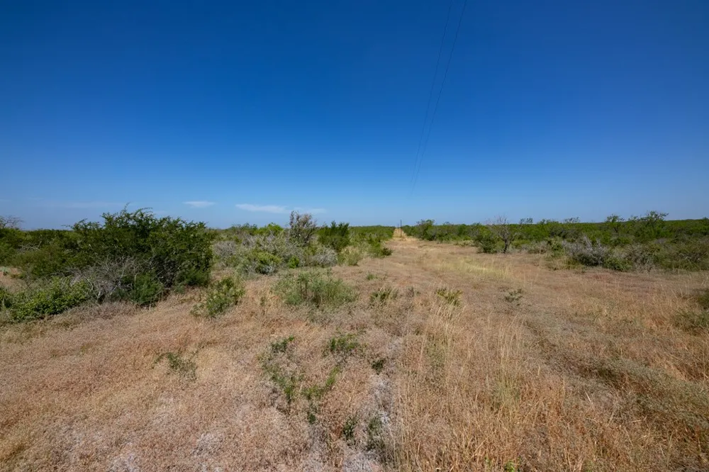 242 Cinco Millas Road Tilden, TX 78072
