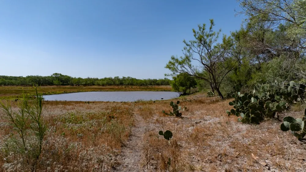 242 Cinco Millas Road Tilden, TX 78072